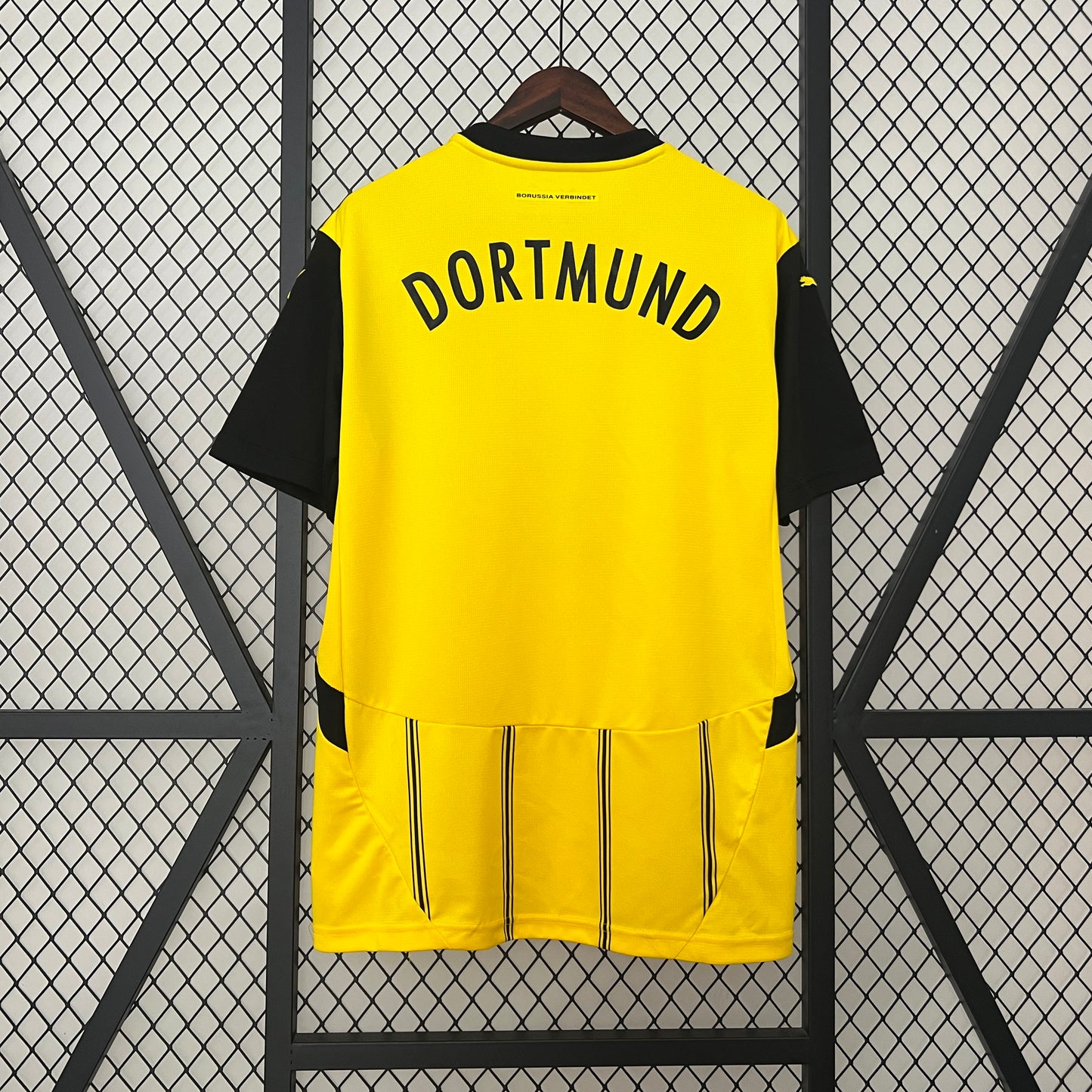 Dortmund 2024-2025 Kit