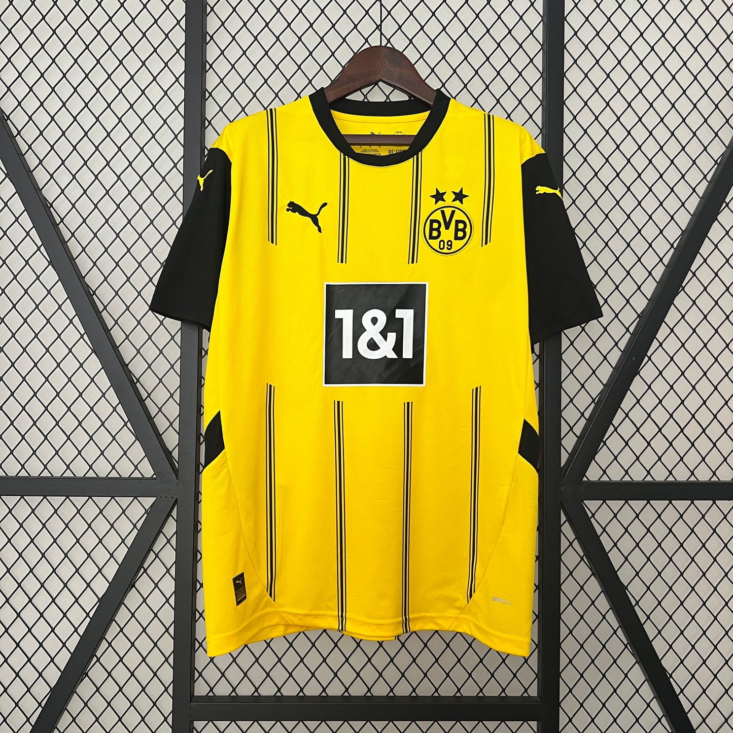 Dortmund 2024-2025 Kit